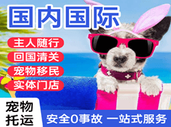 朔州滋润机场空运国际宠物托运 【国